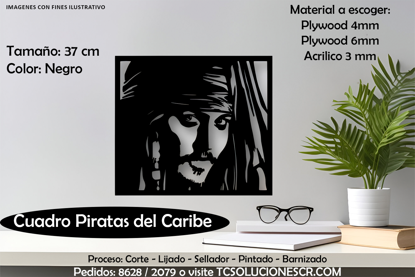 Cuadro Piratas del Caribe 1