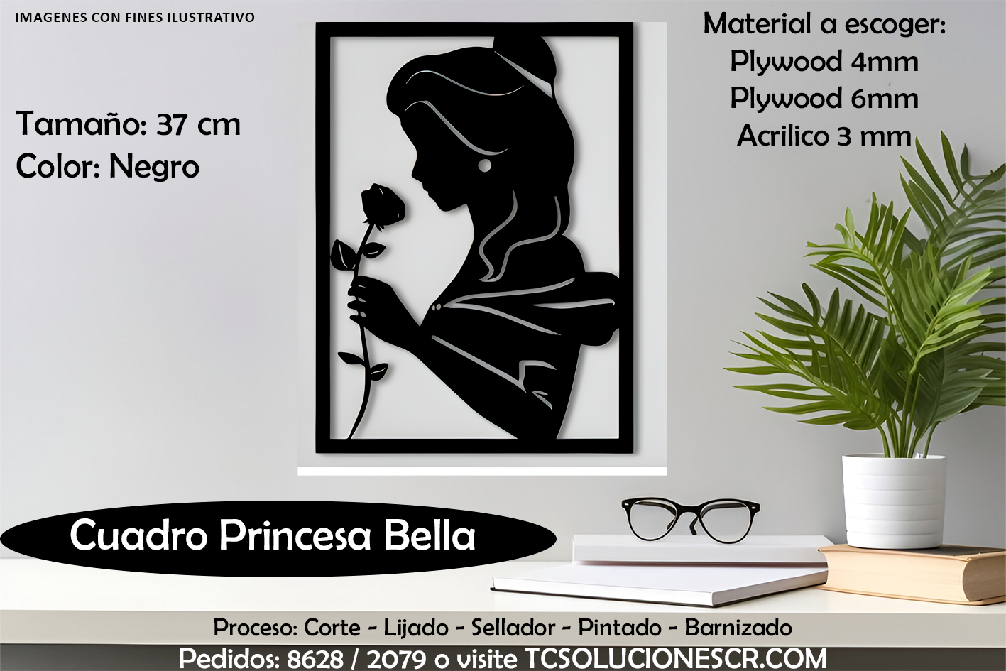 Cuadro Princesa Bella 1