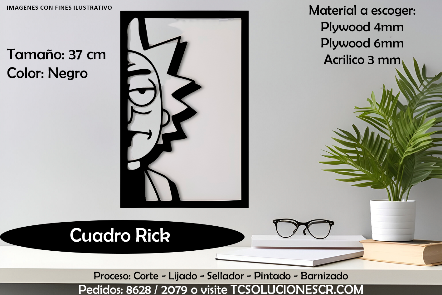 Cuadro Rick and Morty 1