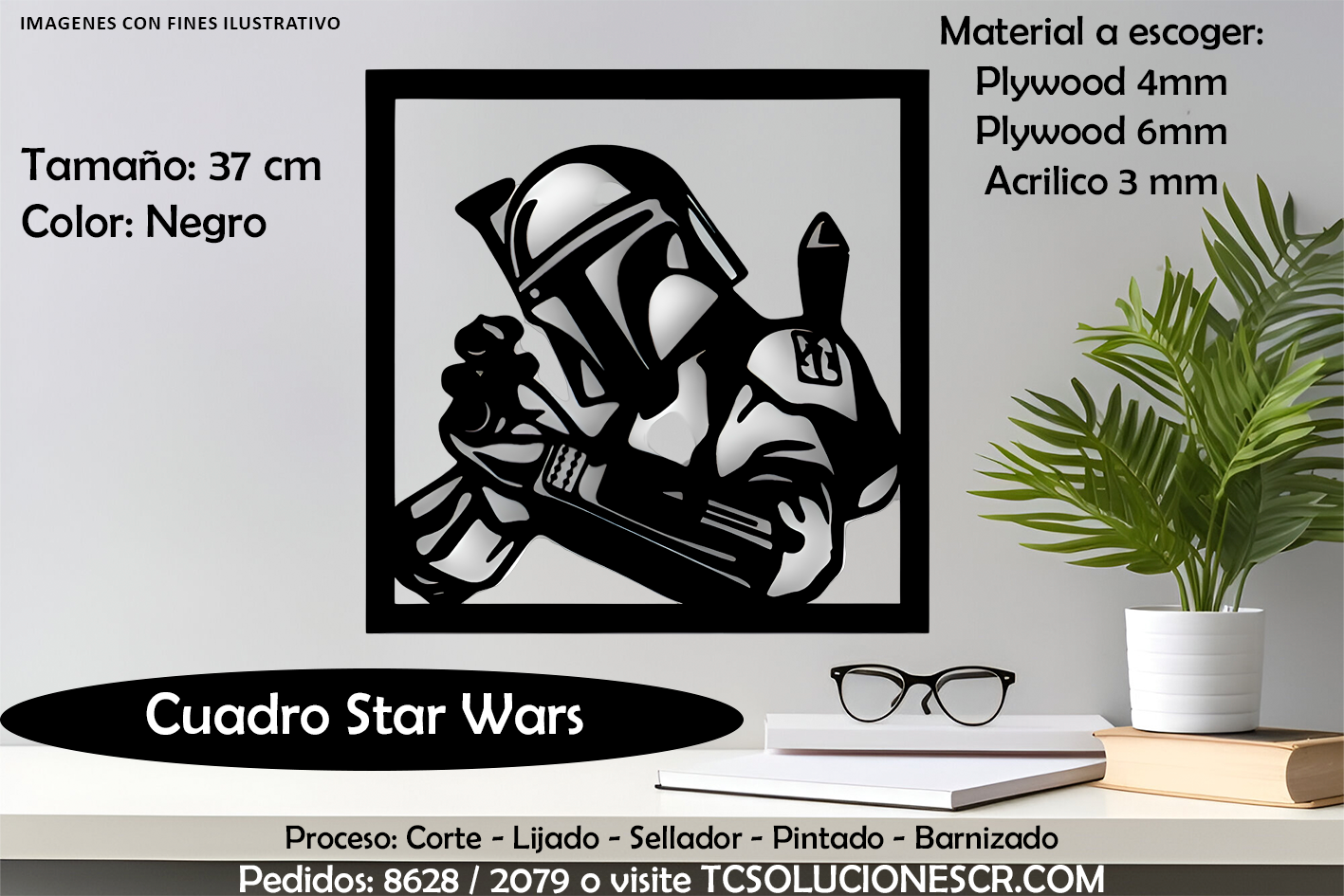 Cuadro Star Wars 1