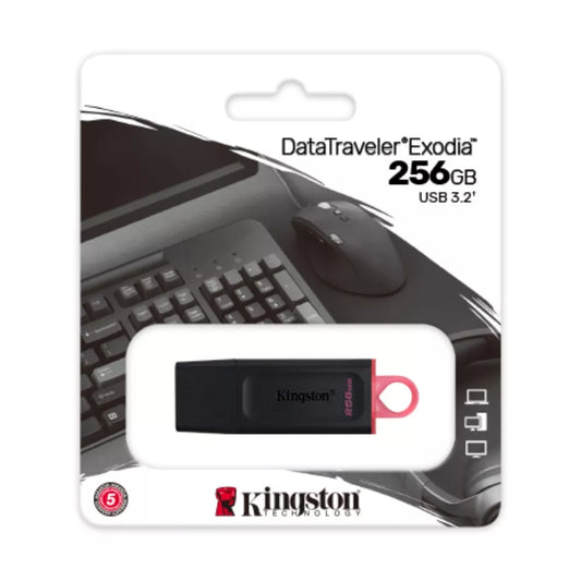 Memoria USB Kingston 256GB.