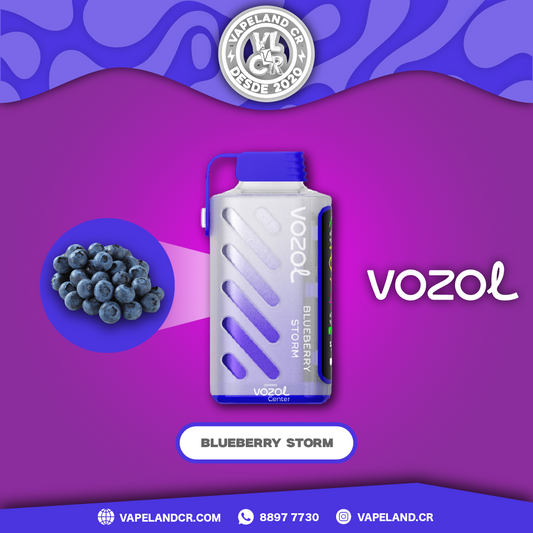 Vozol Gear Blueberry Storm 20000 puffs.