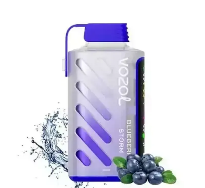 Vozol Blueberry Storm 20000 puffs.
