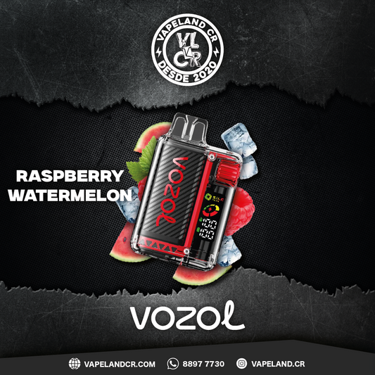 Vozol Vista Raspberry Watermelon 20000 puffs.
