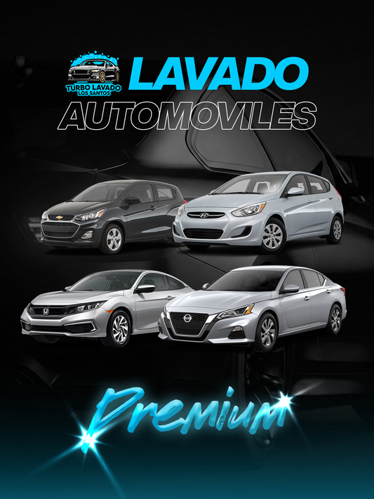 Lavado de Automóviles