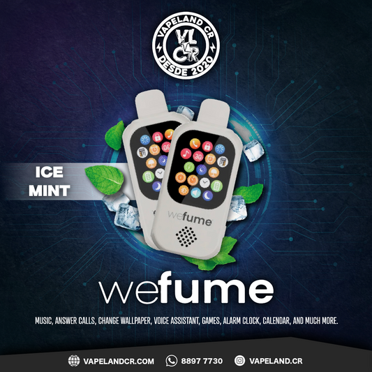 Wefume Ice Mint 30000 puffs.